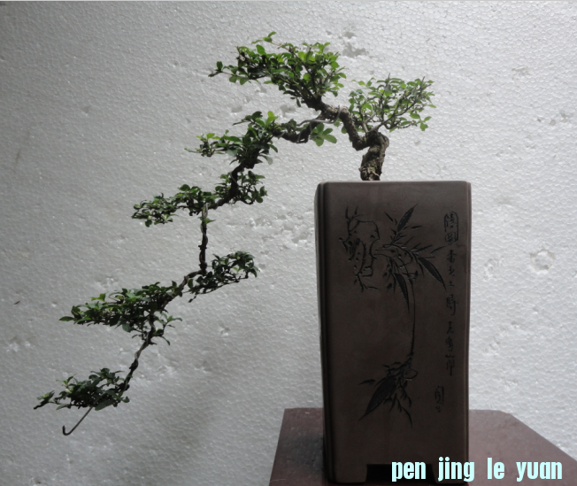 QQͼ20120713202306.png