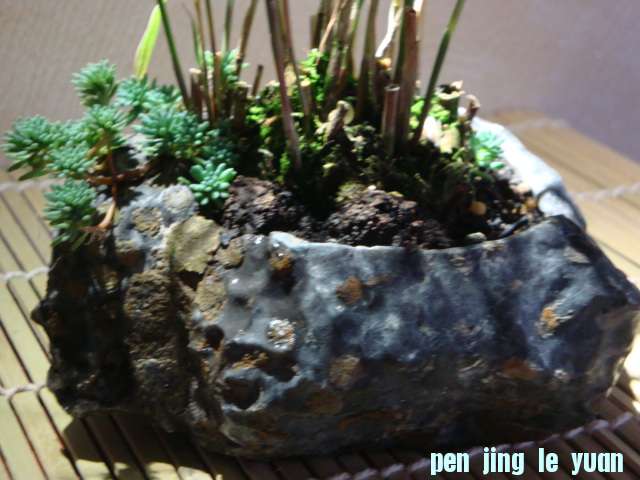 DSC09500.JPG