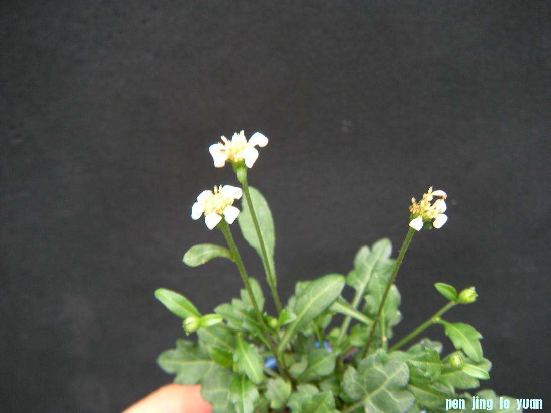 DSCN1149.JPG