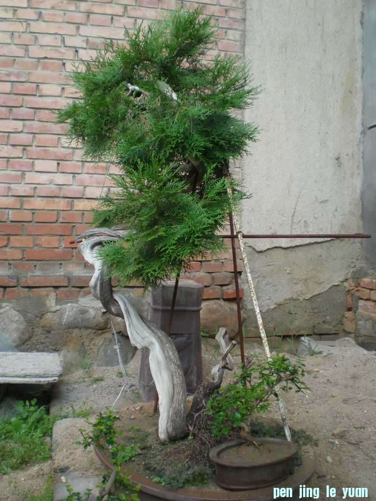 P7130462.JPG