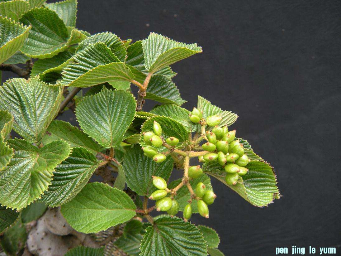 DSCN1108.JPG
