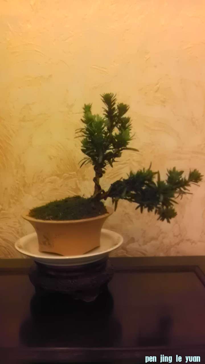 IMAG0615.jpg