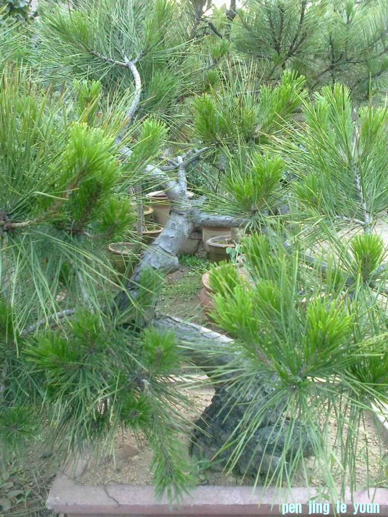 201207171553.jpg
