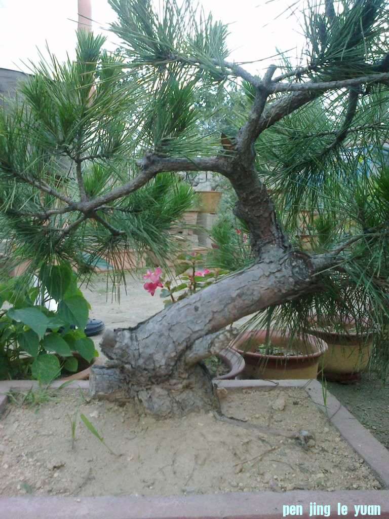 201207171554.jpg