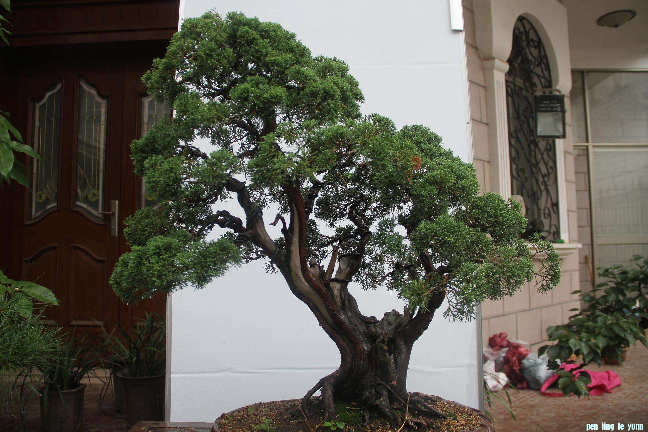 20120708 002.jpg