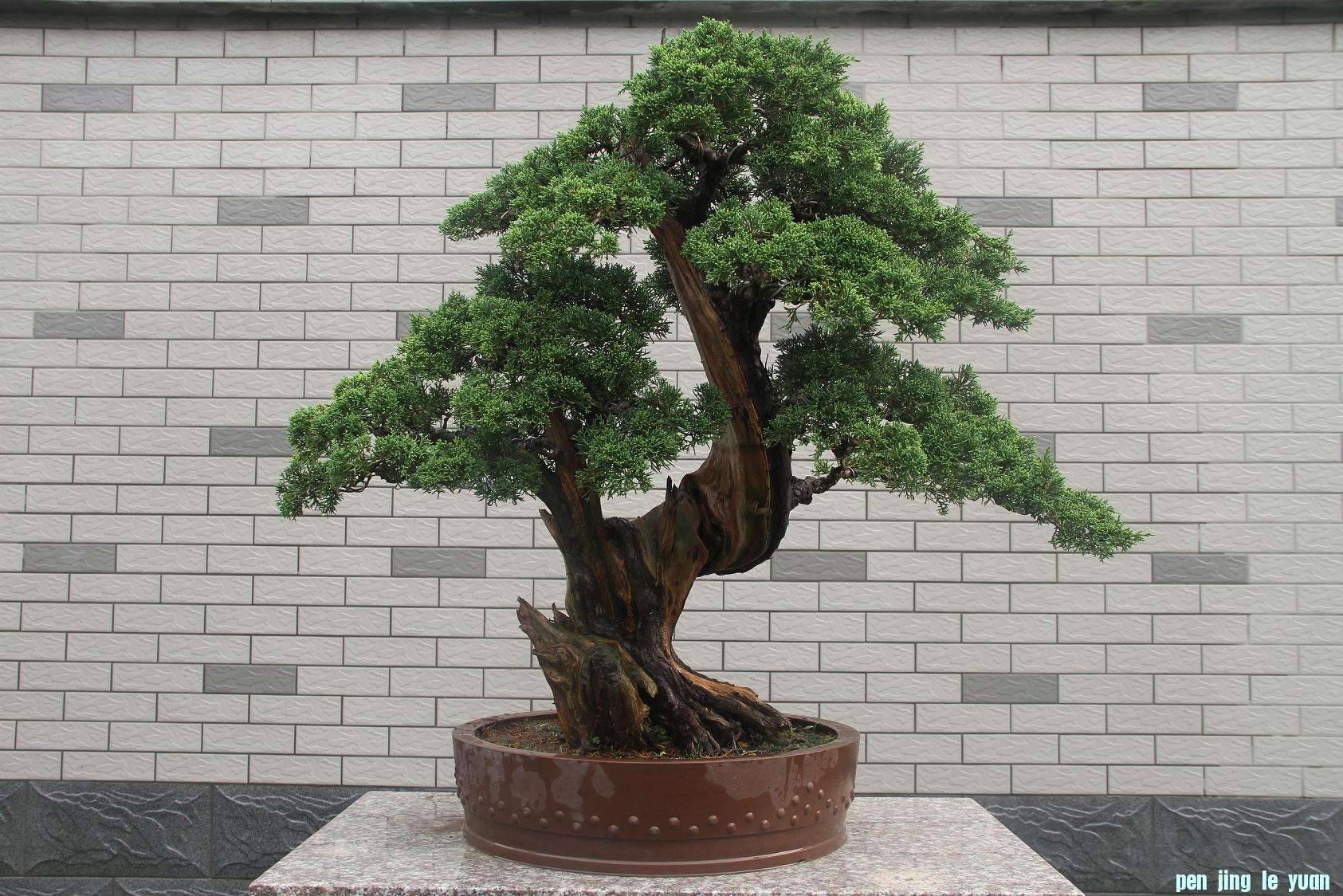 20120707 003.jpg