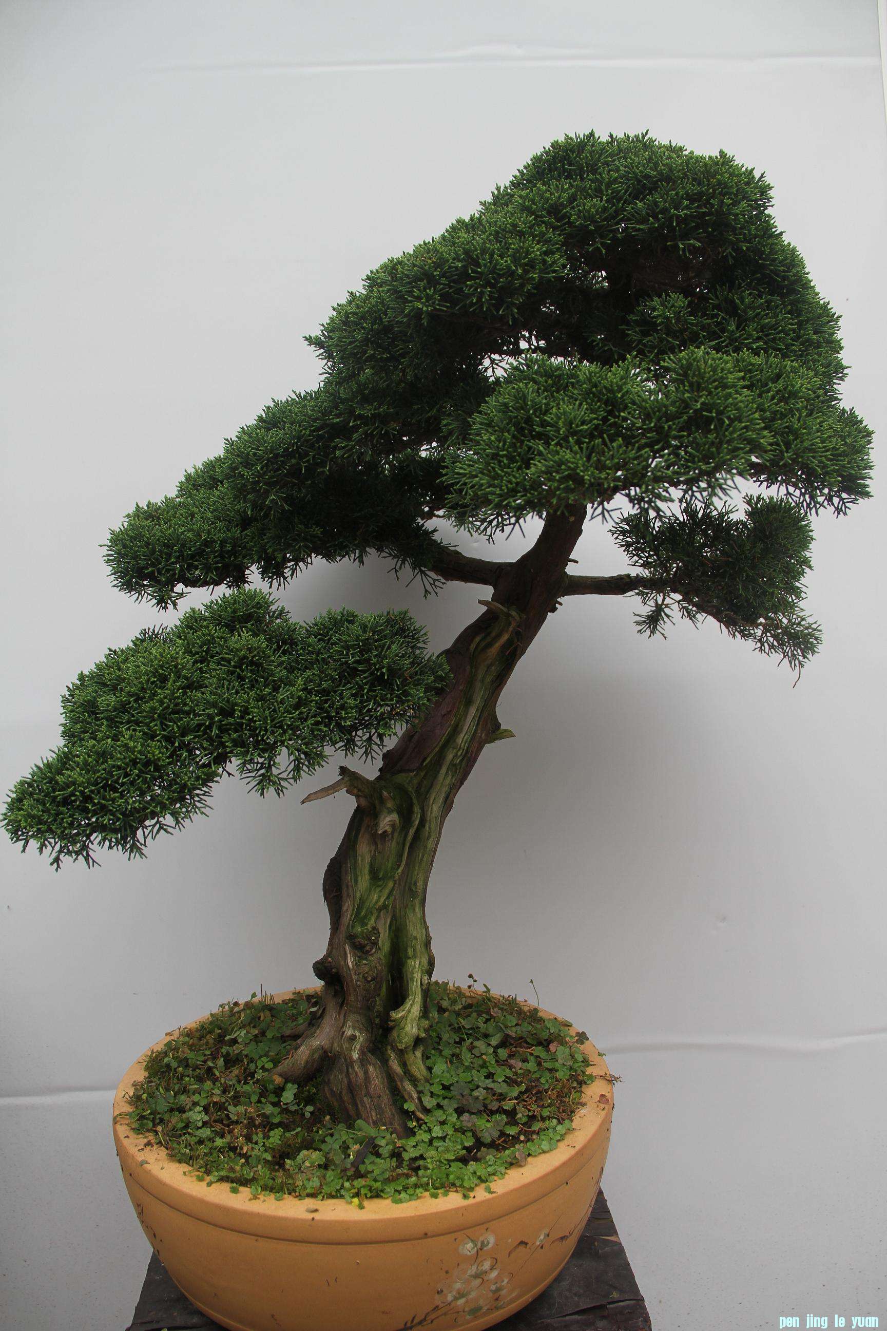 ؼ޽20120718.jpg
