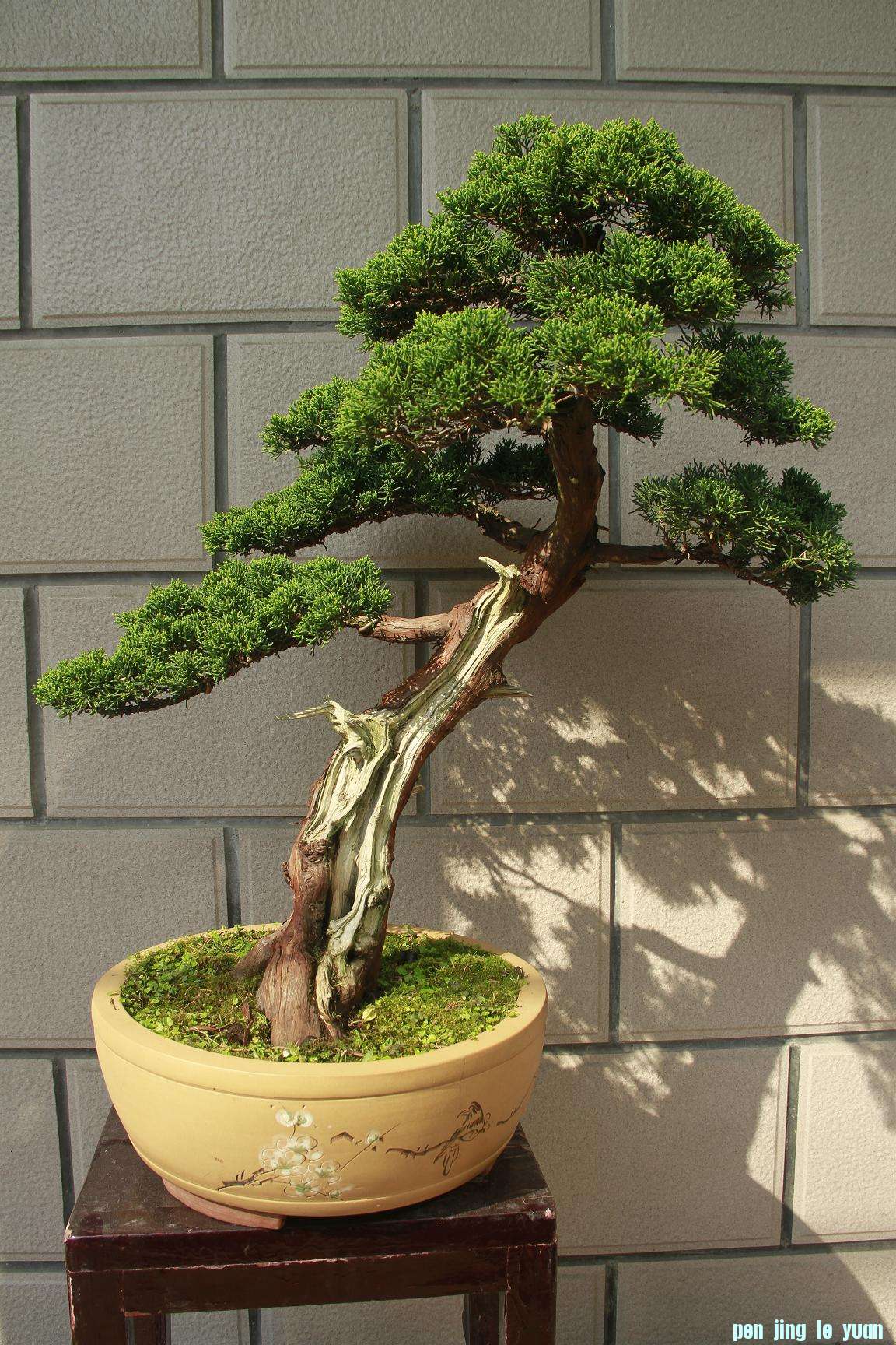 20110729 001.jpg