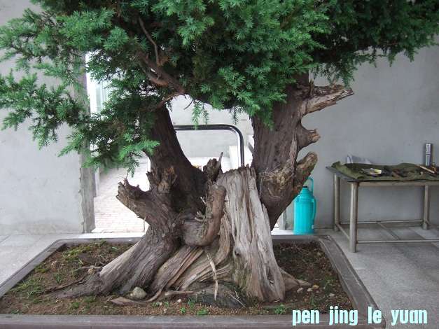 DSCF6993.JPG