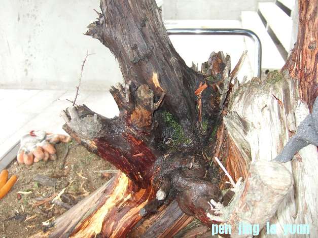 DSCF7006.JPG