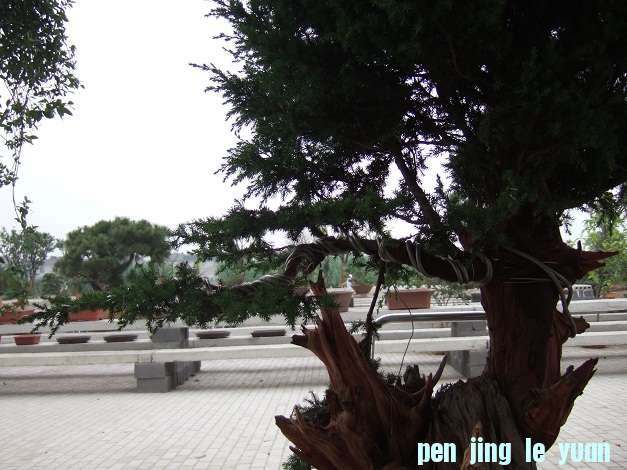 DSCF7028.JPG