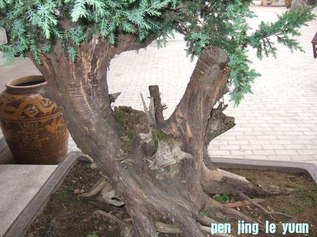 DSCF6996.JPG