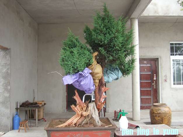 DSCF7008.JPG