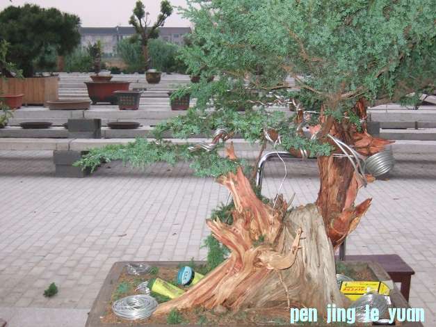 DSCF7030.JPG