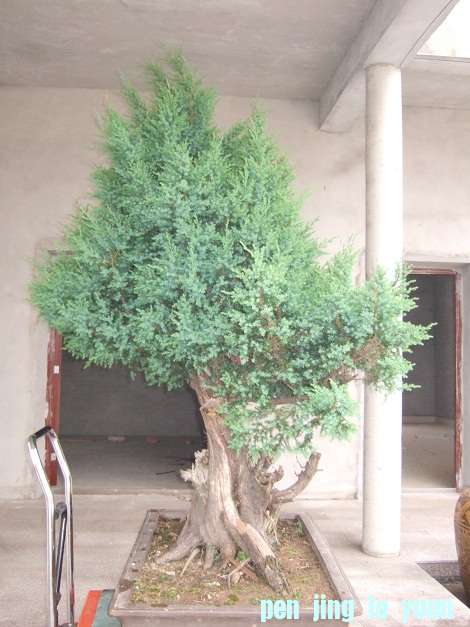 DSCF6997.JPG