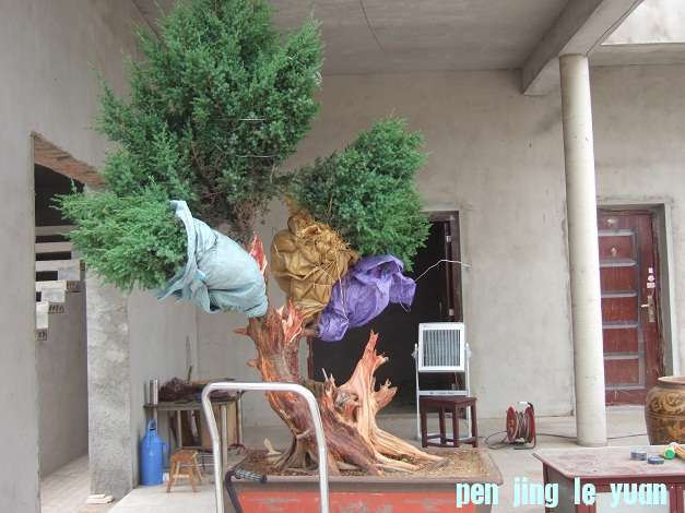 DSCF7020.JPG