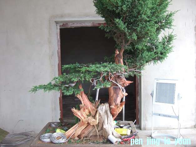DSCF7031.JPG