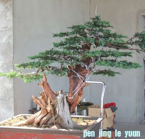 DSCF7033.JPG