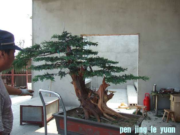 DSCF7035.JPG