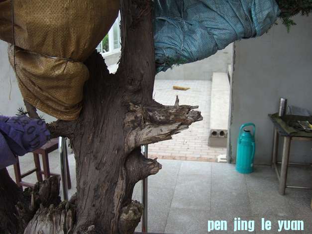 DSCF7002.JPG