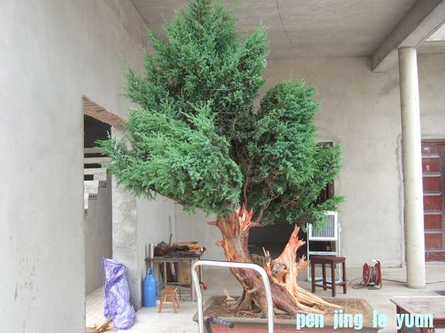 DSCF7025.JPG