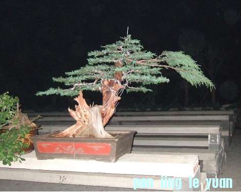 DSCF7043.JPG