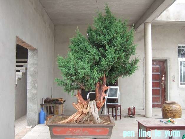 DSCF7026.JPG