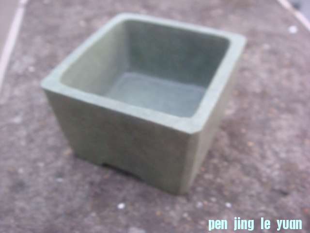 DSC03675.JPG