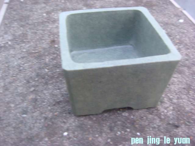 DSC03676.JPG