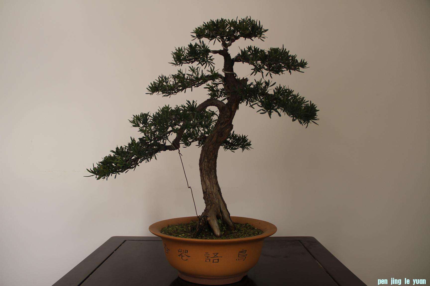 ȸ޺20120203 010.jpg