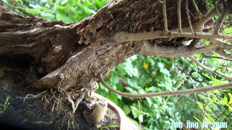 IMG_2400_С.JPG