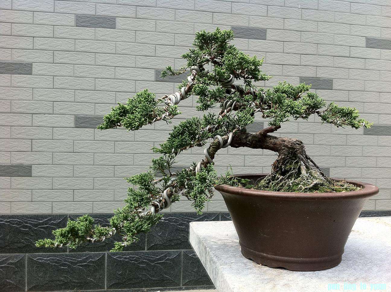 20120719 002.jpg