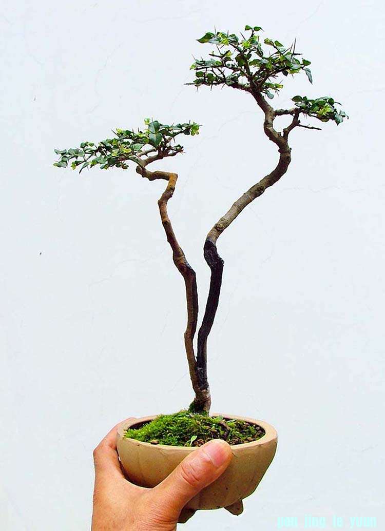 2012-7-10a.JPG
