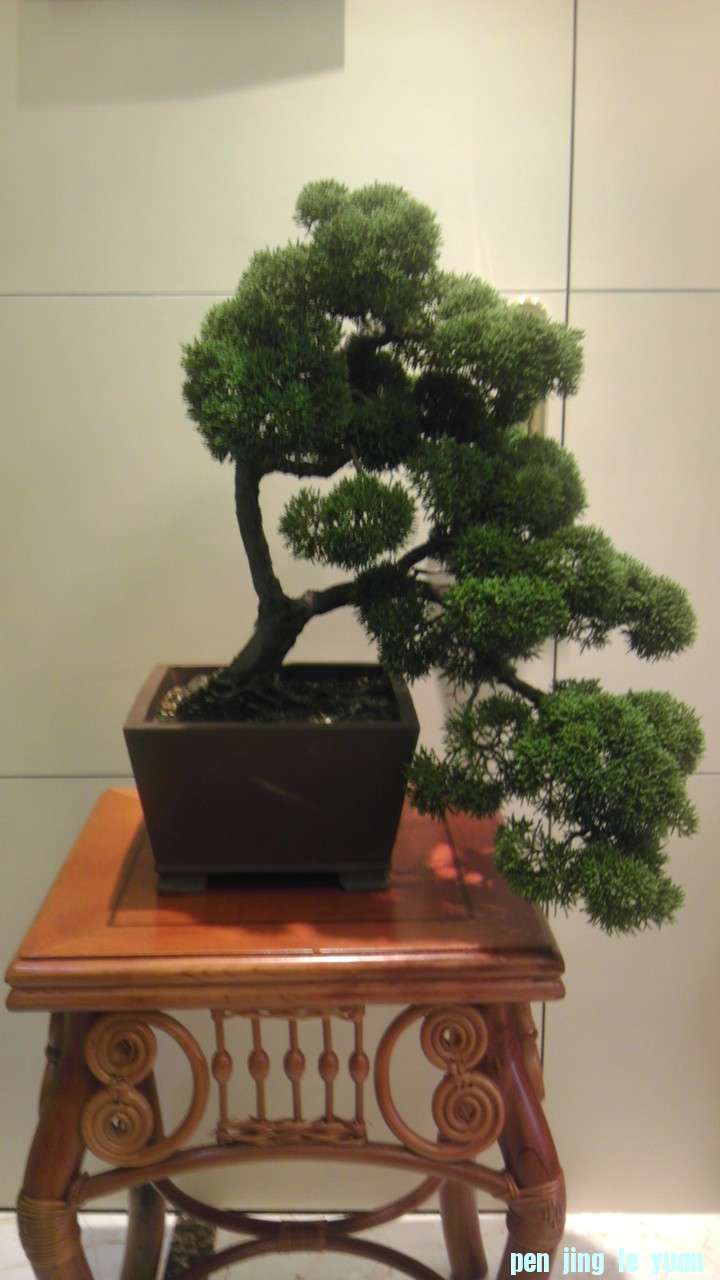 IMAG0628.jpg
