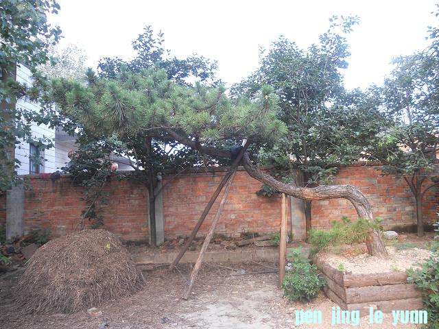 DSCN1684.JPG