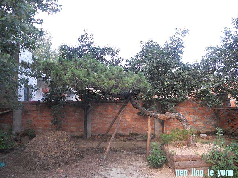 DSCN1685.JPG