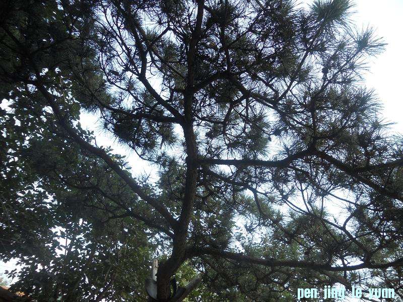 DSCN1688.JPG