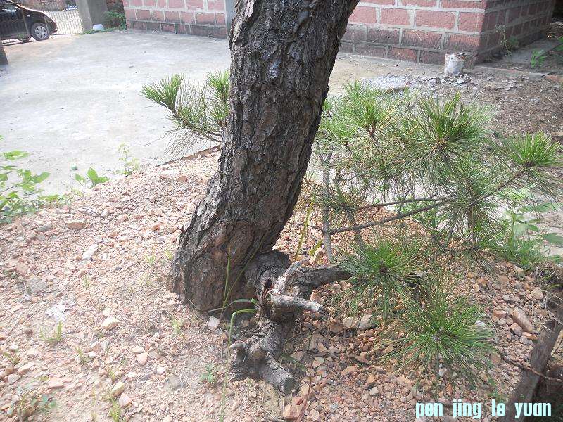 DSCN1690.JPG