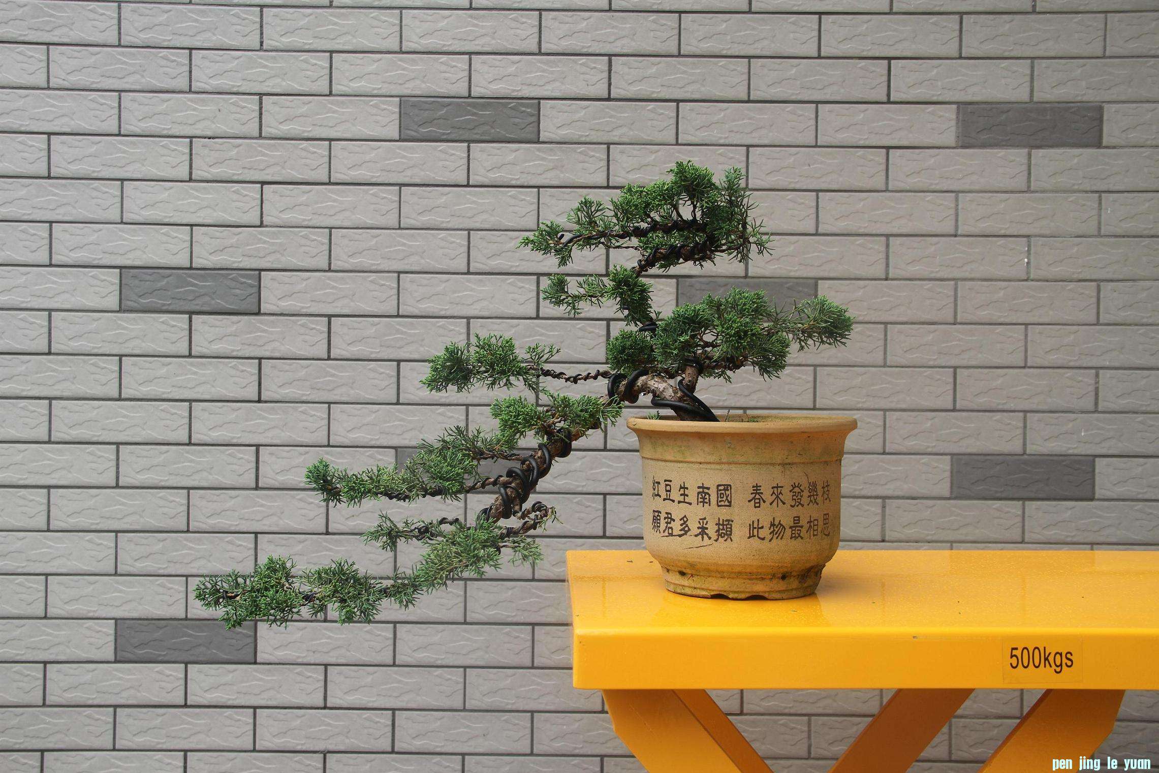 20120708ˮ 004.jpg