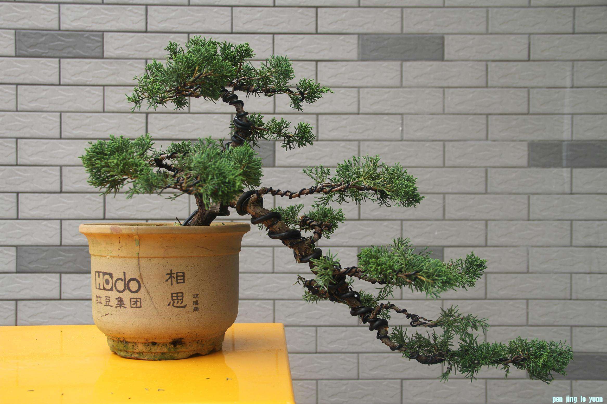 20120708ˮ 012.jpg