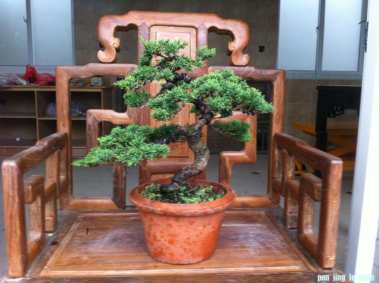 20120714 001.jpg