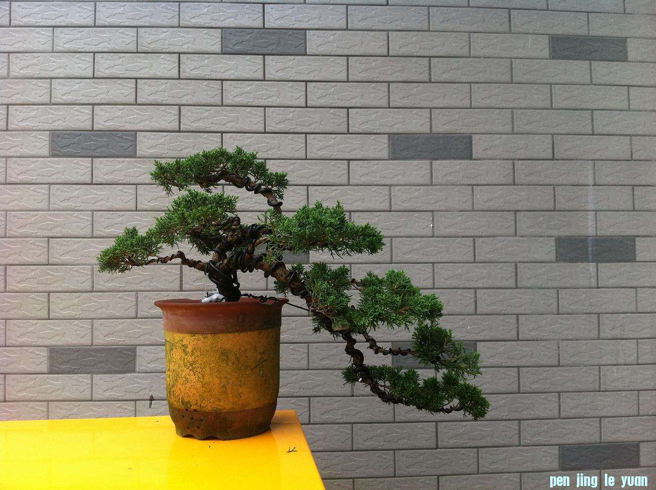 20120709ˮ 003.jpg