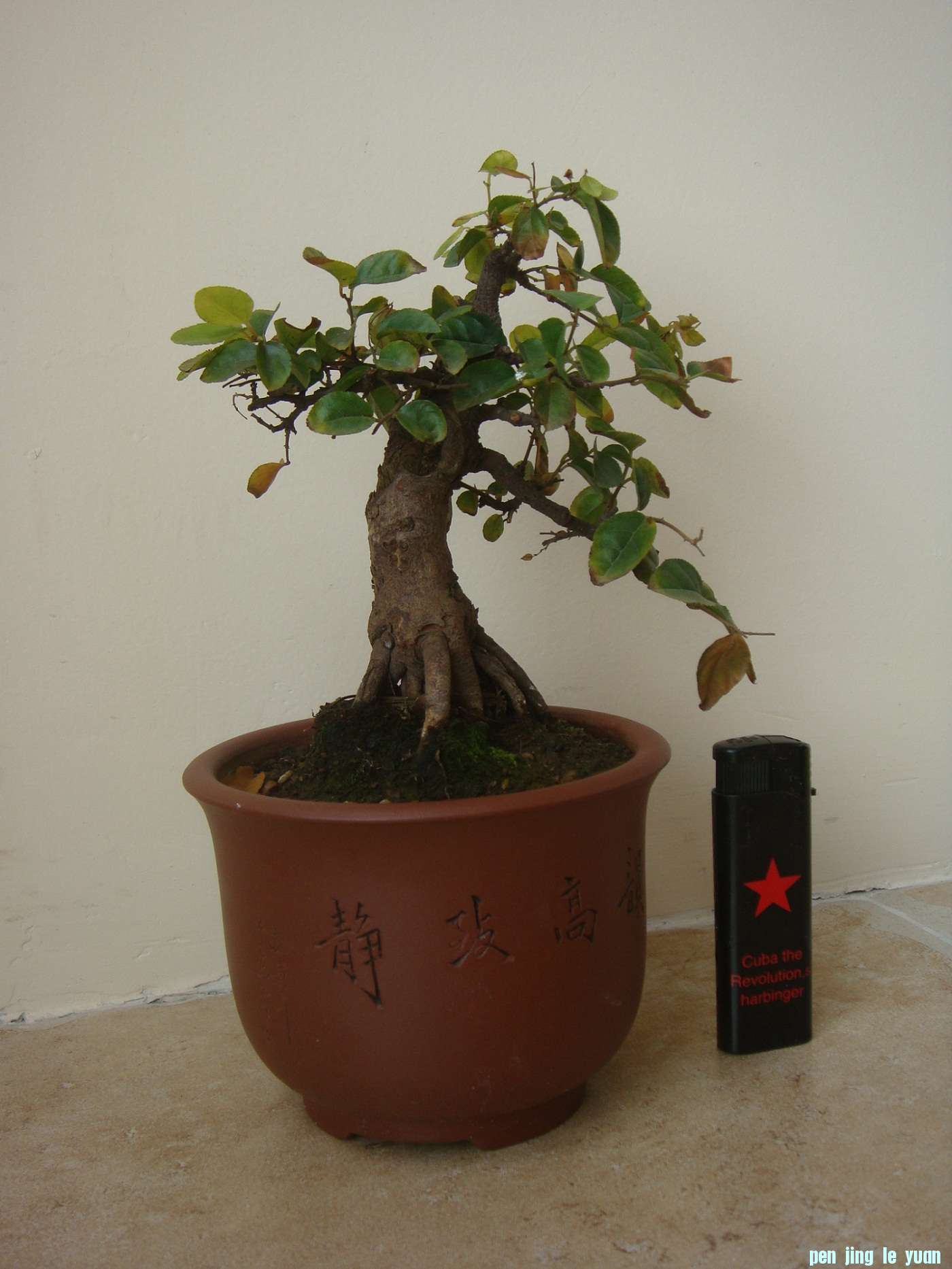 DSC03840.JPG
