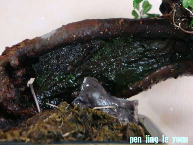 DSC09514.JPG