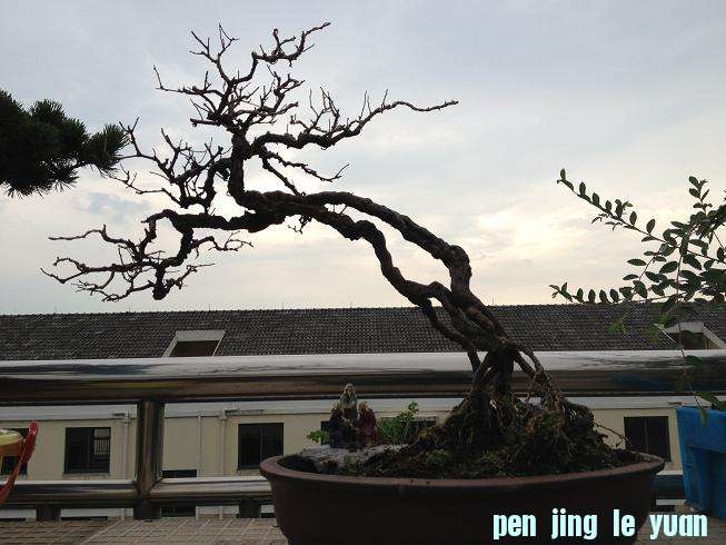 Ƭ 002.jpg