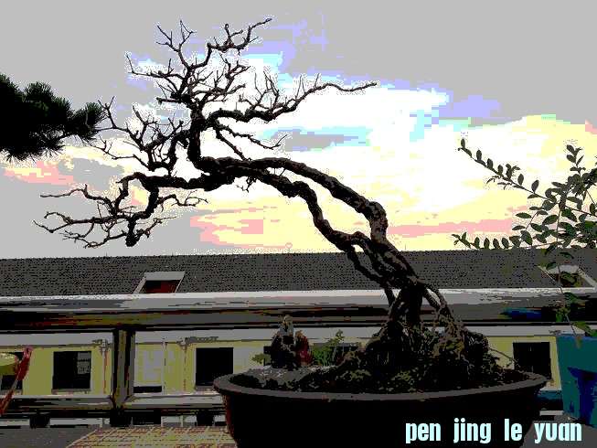 Ƭ 002_conew1.jpg