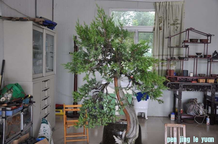 �ҵ��辰 144.jpg