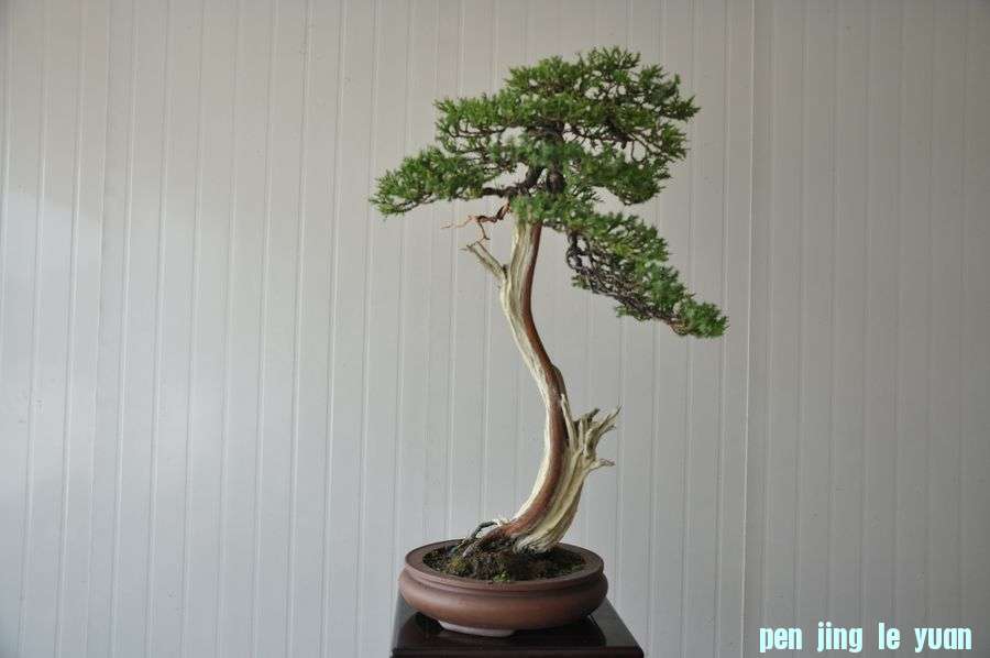 �ҵ��辰 176.jpg