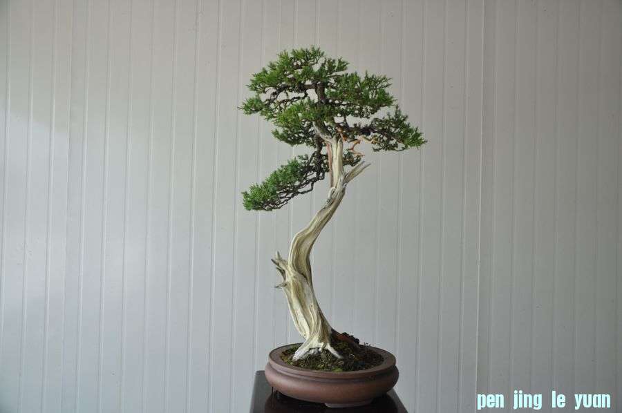 �ҵ��辰 177.jpg