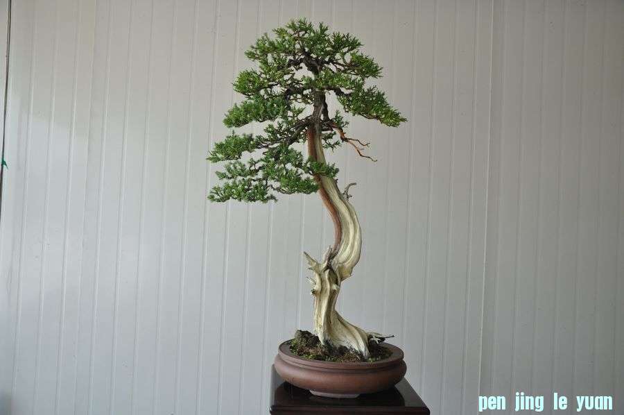 �ҵ��辰 181.jpg